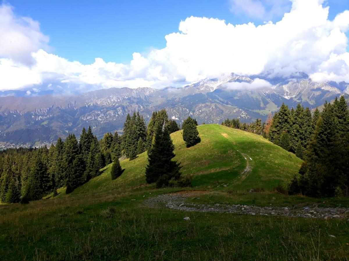 181 - Casa Arcobaleno Tra Le Alpi, Piste Da Sci A 15 Minuti Lägenhet Castione della Presolana Exteriör bild